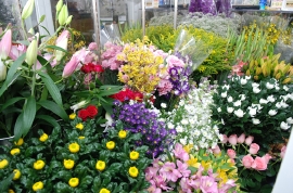 生花コーナー(2階)